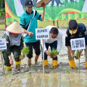 753f8f344ab6dbbf61f9373efda6818e