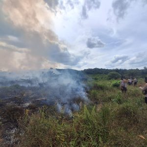 afe5450d-25a0-4c33-b897-6b7bf71762b6