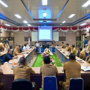 Bupati audien dengan BPKP